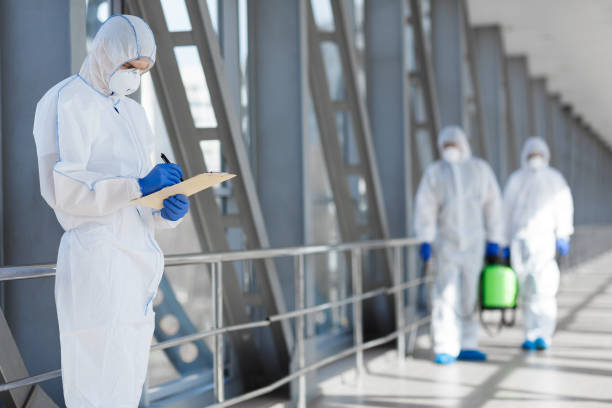  Oak Park, IL Mold Removal Pros