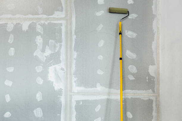 Best Mold Removal for HVAC Installations  in Oak Park, IL