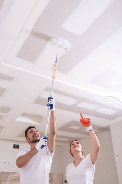 Oak Park, IL Mold Removal Company