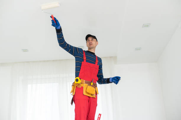 Best Residential Mold Inspection & Testing  in Oak Park, IL