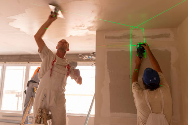 Best Crawl Space Mold Remediation  in Oak Park, IL