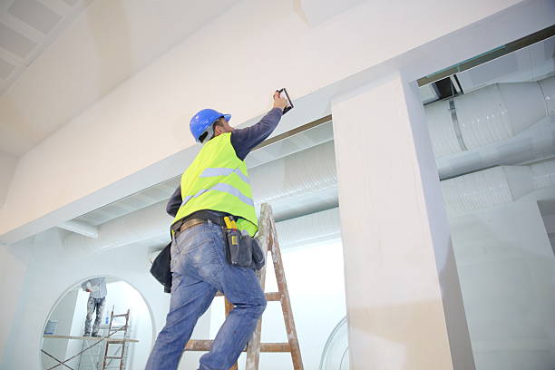 Best Industrial Mold Remediation  in Oak Park, IL