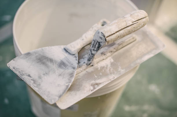 Best Real Estate Mold Inspection  in Oak Park, IL